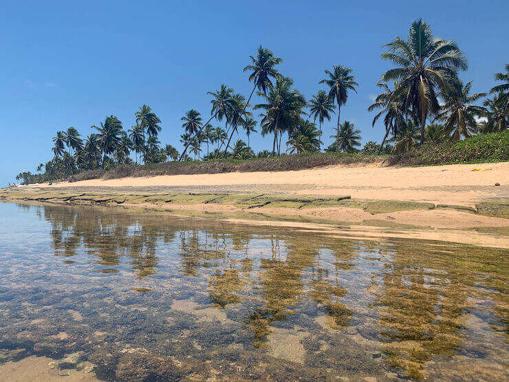 Praia do Forte Bahia
