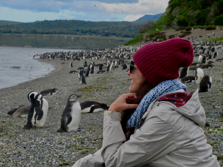 Pinguins Isla Martillo Ushuaia