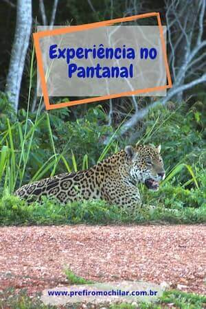 Pinterest Pantanal