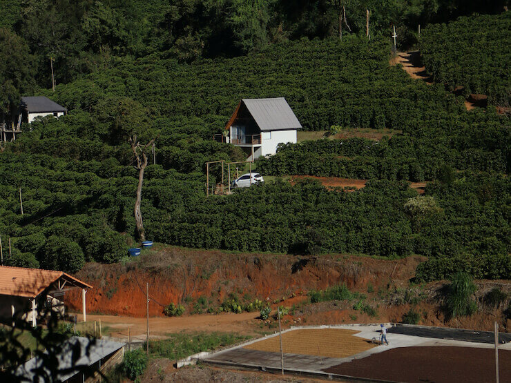 Fazendas de café com hospedagem