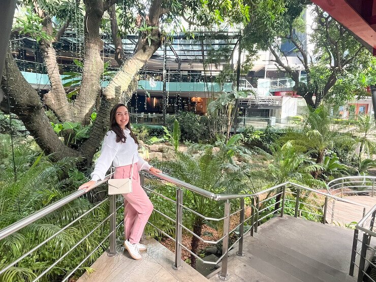 Paseo la galeria Assunção