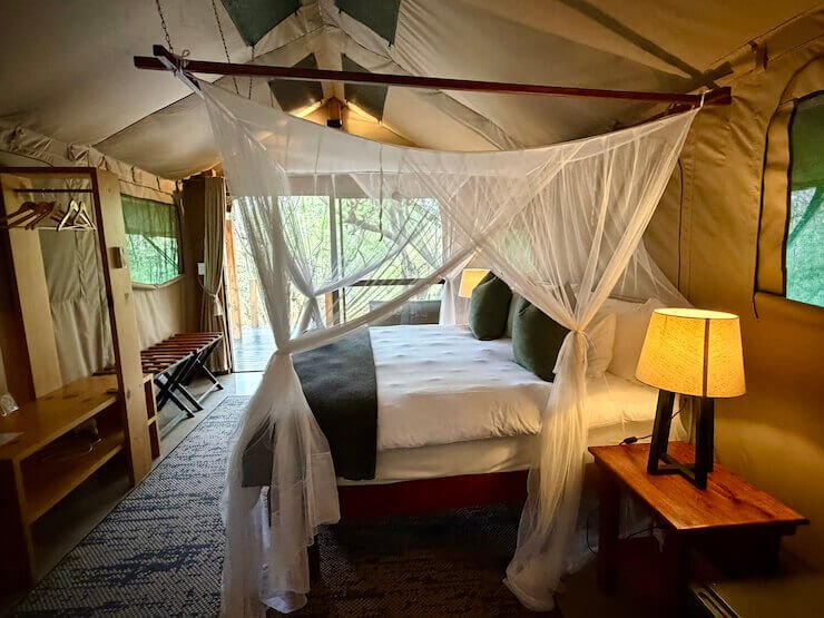 Little Africa Hoedspruit